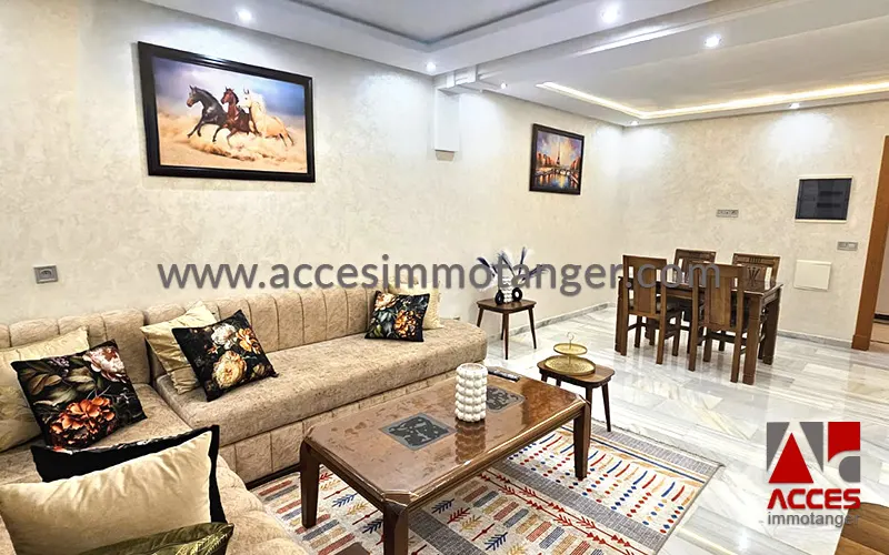 www.accesimmotanger.com copy 8